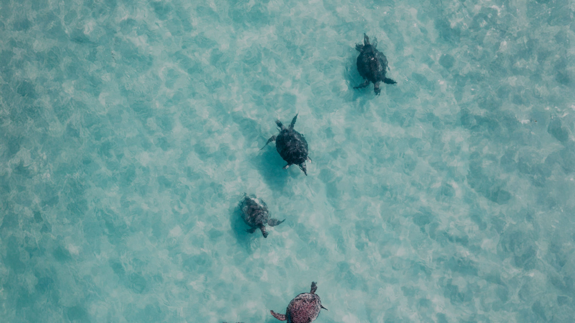 Tomorrow needs you, now. 