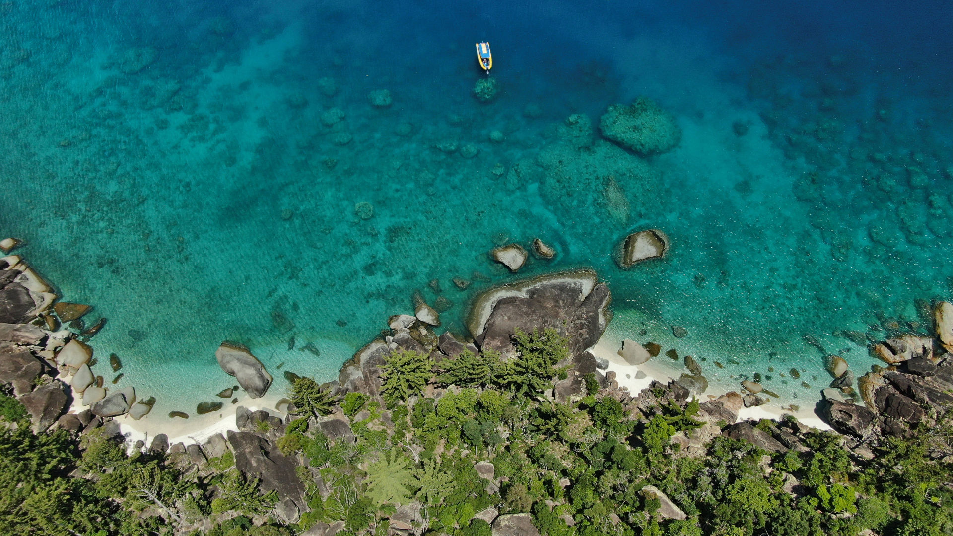 Improving the quality of water entering our Reef.