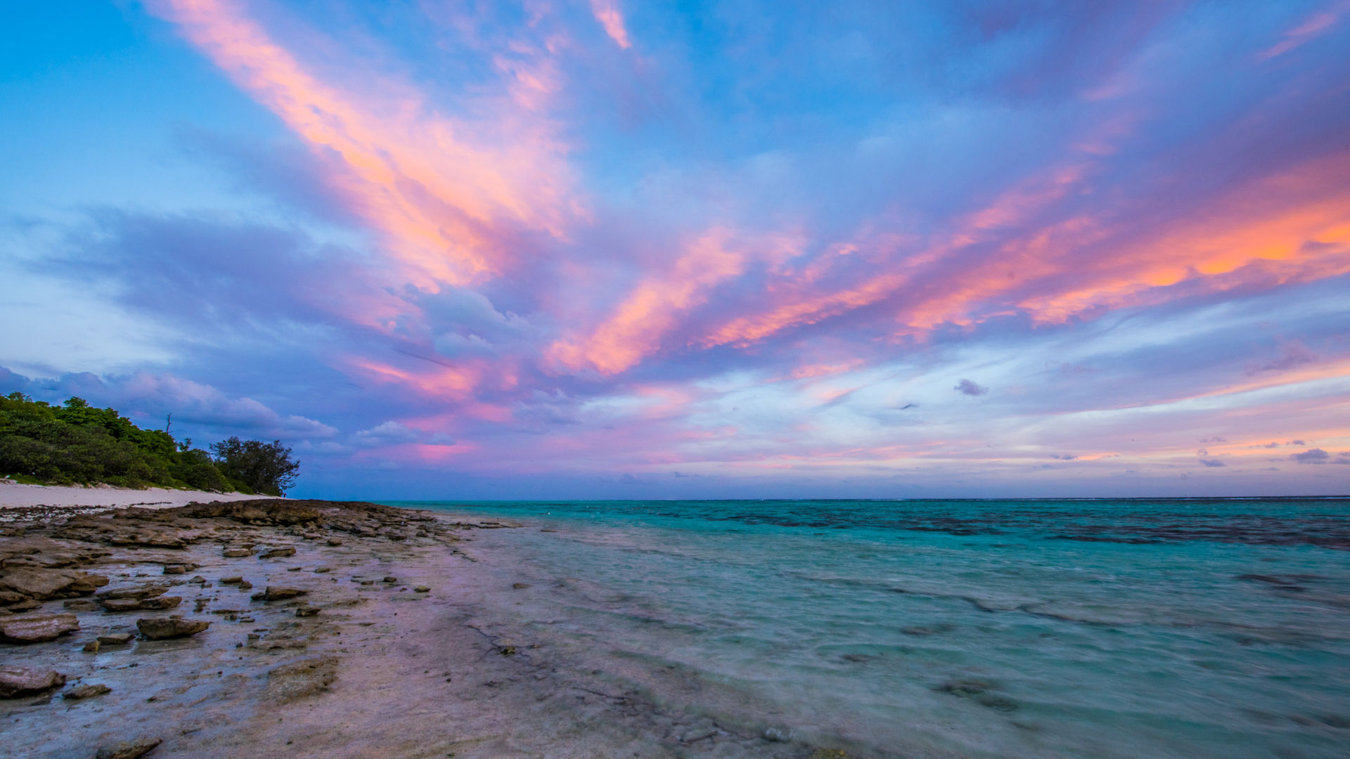 About Reef Islands and Coasts