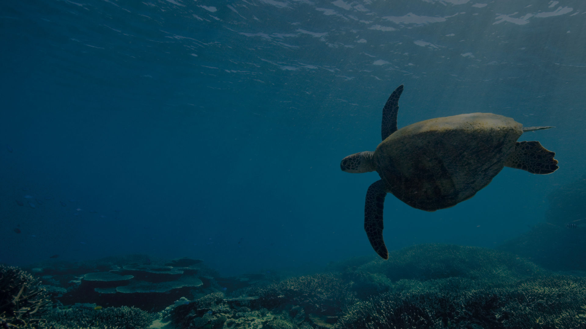 A decade that decides everything