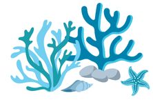 Impactful climate actions for individuals and communities