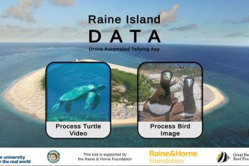 Artificial intelligence (AI) is a game changer for turtle monitoring