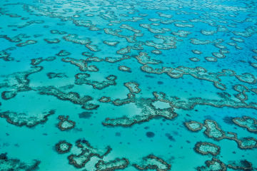 Expressions of Interest: Advisory Group on Reef Restoration and Adaptation Interventions
