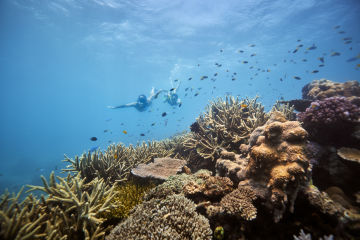 Mission Beach - Great Barrier Reef