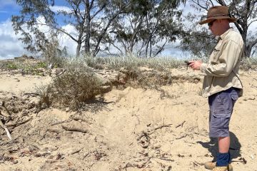 Improving Nesting Success for Sea Turtles at Cape Upstart Station