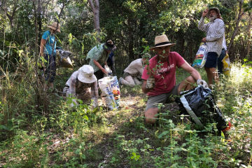 Magnetic Island's World Heritage Values