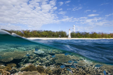 Reef Islands