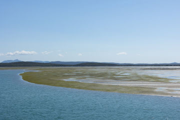 Chubb and the Great Barrier Reef Foundation join forces to restore Australia’s coastal lifelines