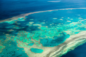 How we predict Reef threats like coral bleaching