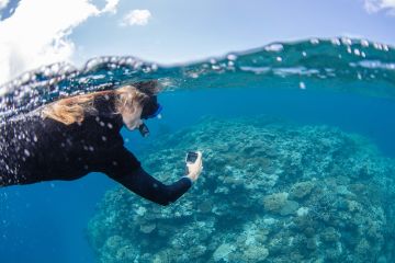 Become a citizen scientist to help the Reef