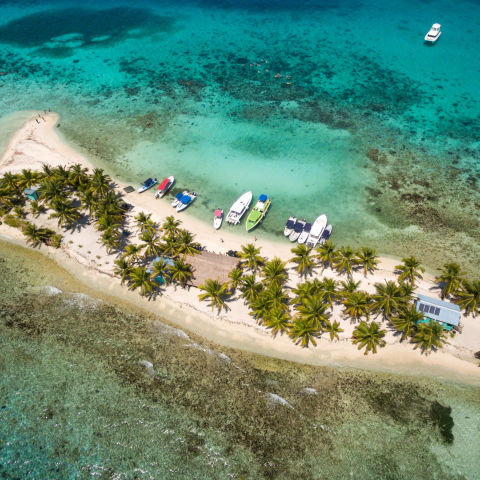 Resilient Reefs - Great Barrier Reef Foundation - Great Barrier Reef ...