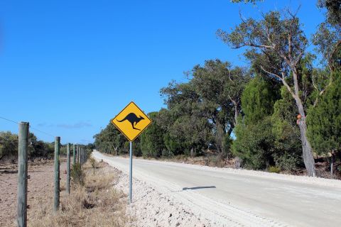 Cleaner Road Runoff