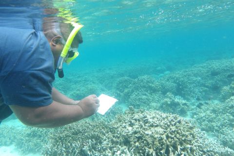 Vava'u Environmental Protection Association