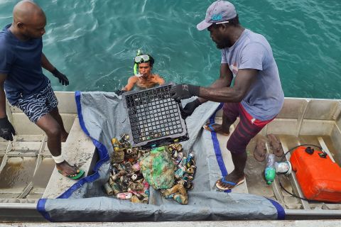 Positive Change for Marine Life
