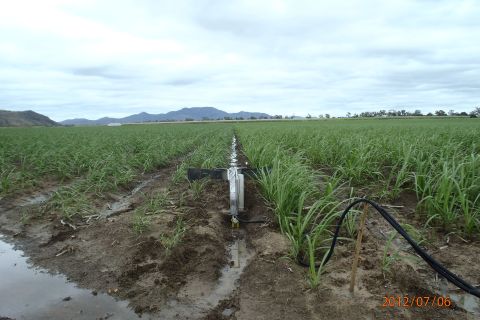 Prototype to Product: N insurance for sugarcane farmers and GBR protection