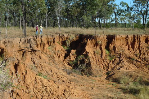 Assessing gully and stream bank erosion risk with LiDAR