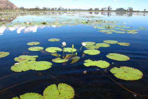 Turning wetland ecological and hydrological data capture into positive wetland and water quality management