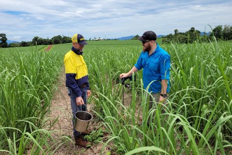 Tully Johnstone Regional Water Quality Program