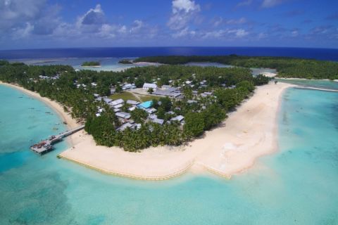 Island Conservation