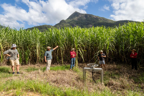 Mulgrave-Russell Regional Water Quality Program