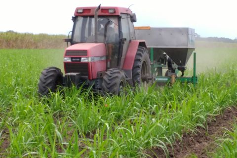 On-ground testing and modelling of the effectiveness of Enhanced Efficiency Fertilisers