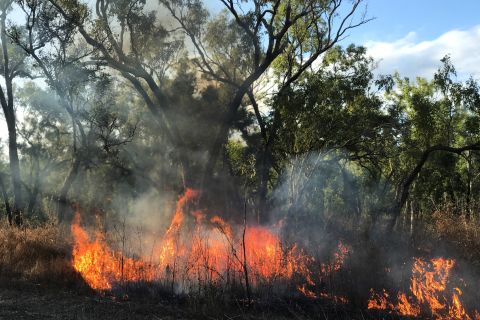 Integrated Fire Management for Eastern Cape York