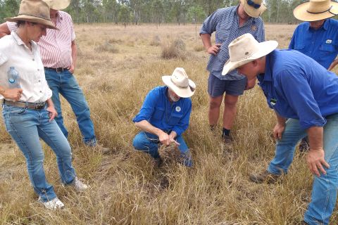 Upper Herbert Water Quality Program