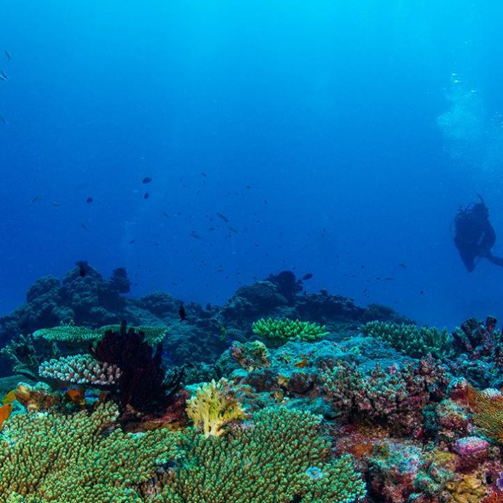 Integrated Monitoring and Reporting Program Impact Summary 