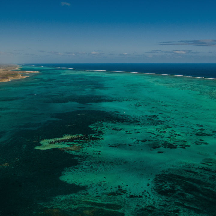 The Reef - Great Barrier Reef Foundation