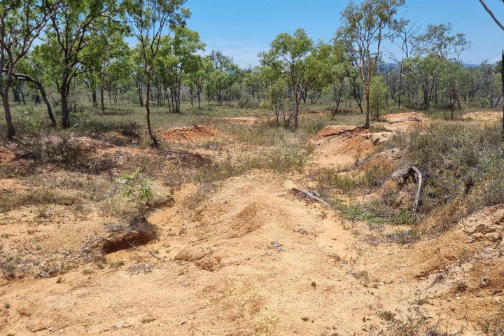 Small leaky weirs were installed to slow water and catch sediment, then was covered by hay to provide opportunity for vegetation to strike. BEFORE 1 Oct 2022. Credit: NQ Dry Tropics