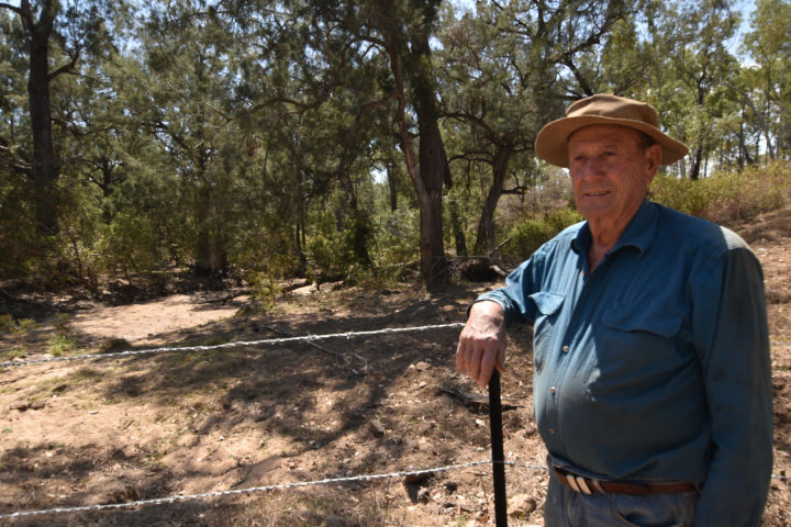 Kangaroo Hills owner Dino Penna with the riparian fence that was constructed as part of the Herding Change for Grassroots Recovery project. Credit: NQ Dry Tropics
