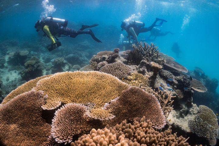 Community-led conservation - Great Barrier Reef Foundation