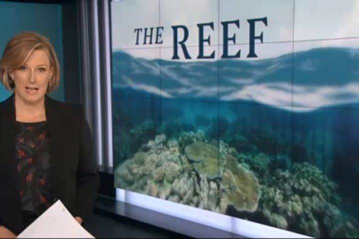Must watch three part Reef series on ABC's 7.30 program