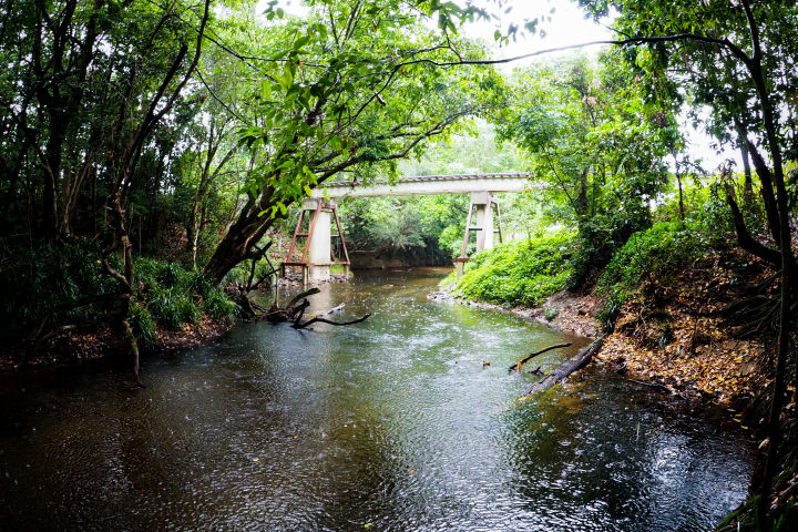 Mulgrave-Russell water quality monitoring & remediation program