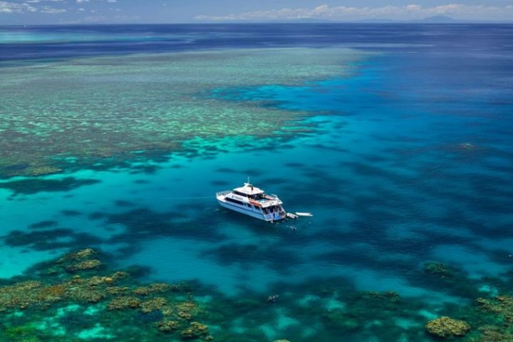 Visit The Reef - Great Barrier Reef Foundation - Great Barrier Reef ...