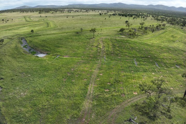 Gully 5 after remediation 