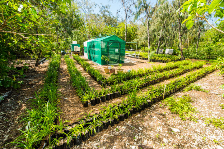 On-land habitat restoration