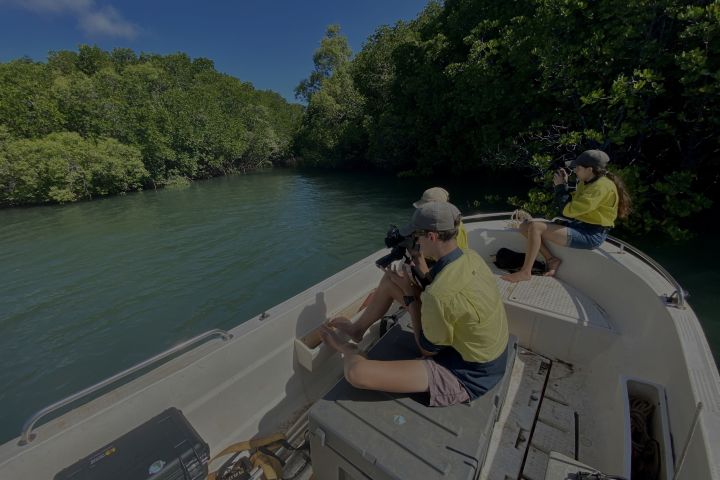 Mangrove Watchers on the Endeavour River