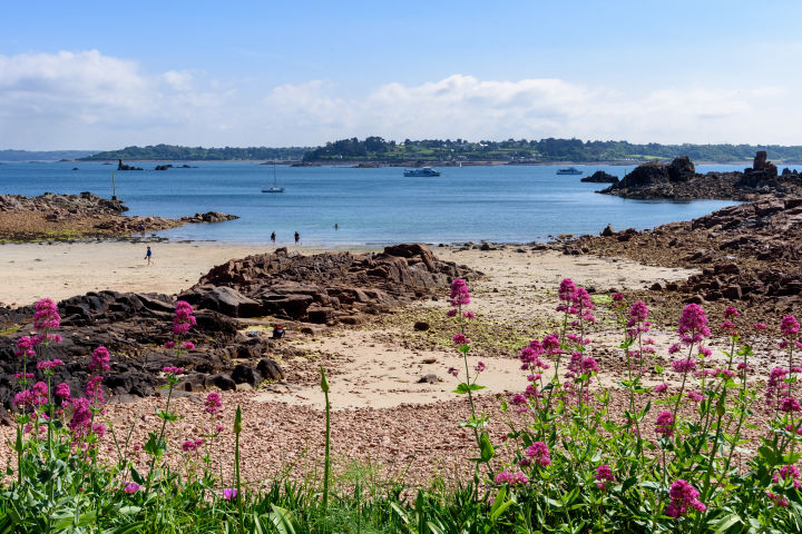 Cedric’s family originates from Bréhat Island in Northern Brittany, France. 