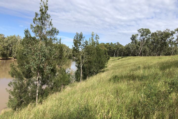 Yaamba site after works. Image Catchment Solutions