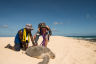 Turtles tracked on Raine Island to further protect species