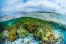 Grant Guidelines - Community climate action for the Reef