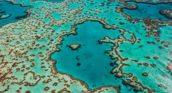 Integrated Monitoring and Reporting - Great Barrier Reef Foundation