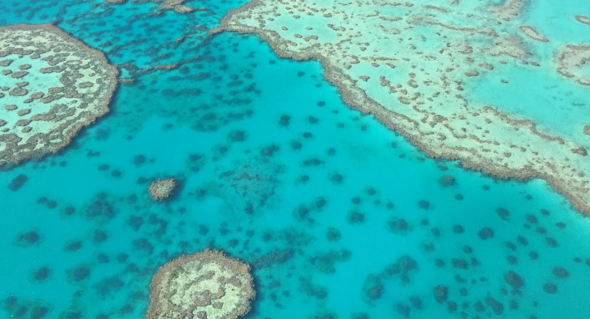 Community Action Plans - Great Barrier Reef Foundation